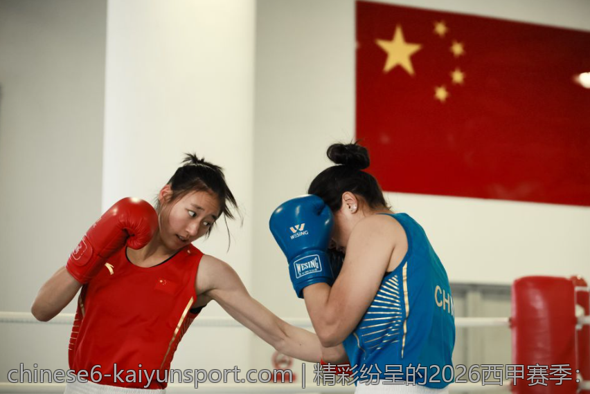精彩纷呈的2026西甲赛季：主教练的战术智慧纷呈